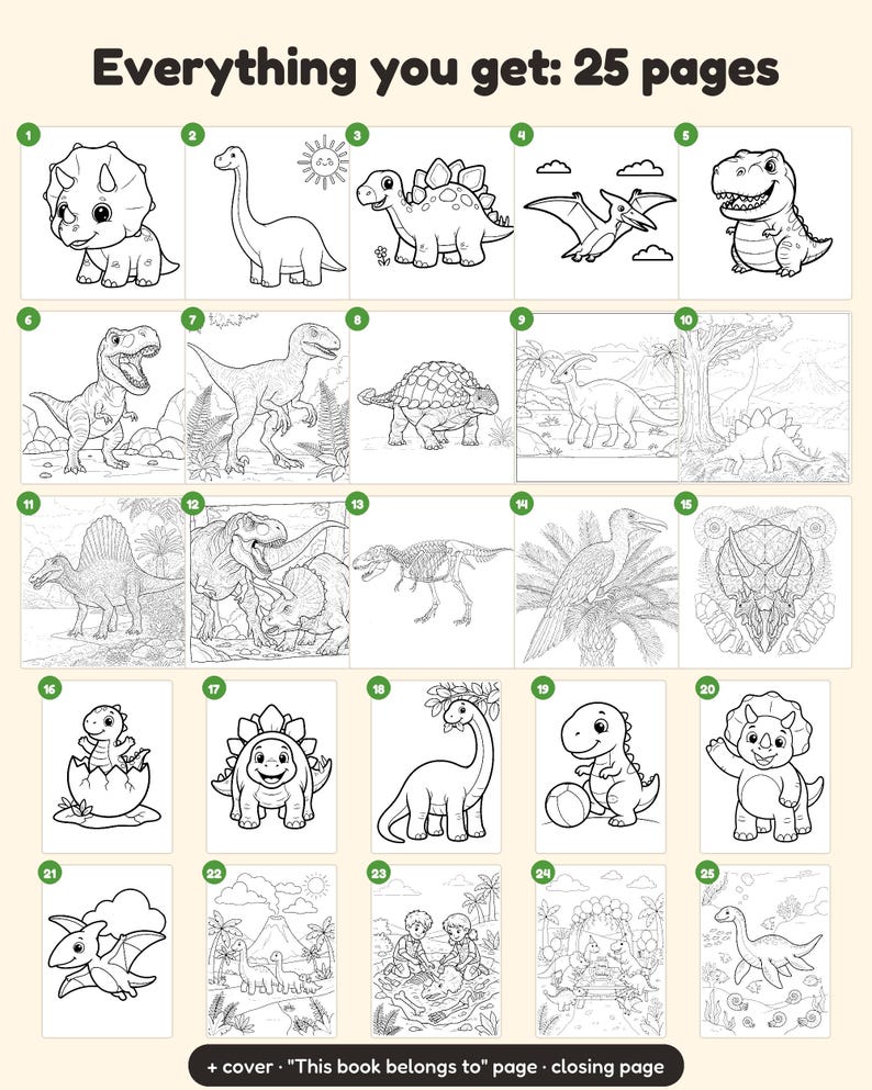 May include: A collection of 25 dinosaur-themed coloring pages featuring various prehistoric creatures, including a triceratops, stegosaurus, and pterodactyl, with the text Everything you get: 25 pages and This book belongs to.
