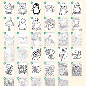K&ouml;nnte beinhalten: Eine Sammlung von 35 schwarz-wei&szlig;en Ausmalbildern mit verschiedenen V&ouml;geln, Insekten und Naturszenen. Jede Seite ist von 1 bis 35 nummeriert und zeigt Illustrationen von Eulen, Pinguinen, Schmetterlingen und Bienen. Enth&auml;lt ein Deckblatt und zus&auml;tzliche Seiten.