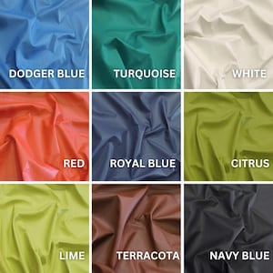May include: A color palette showcasing nine fabric swatches. Colors include Dodger Blue, Turquoise, White, Red, Royal Blue, Citrus, Lime, Terracotta, and Navy Blue. Each swatch has the color name printed in white text.