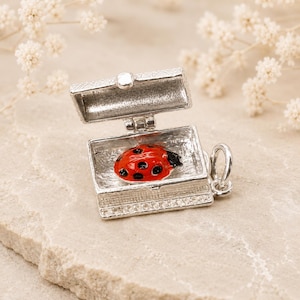 Sterling Silver Ladybug Charm, Opening Bug In Rug, Enamelled Insect