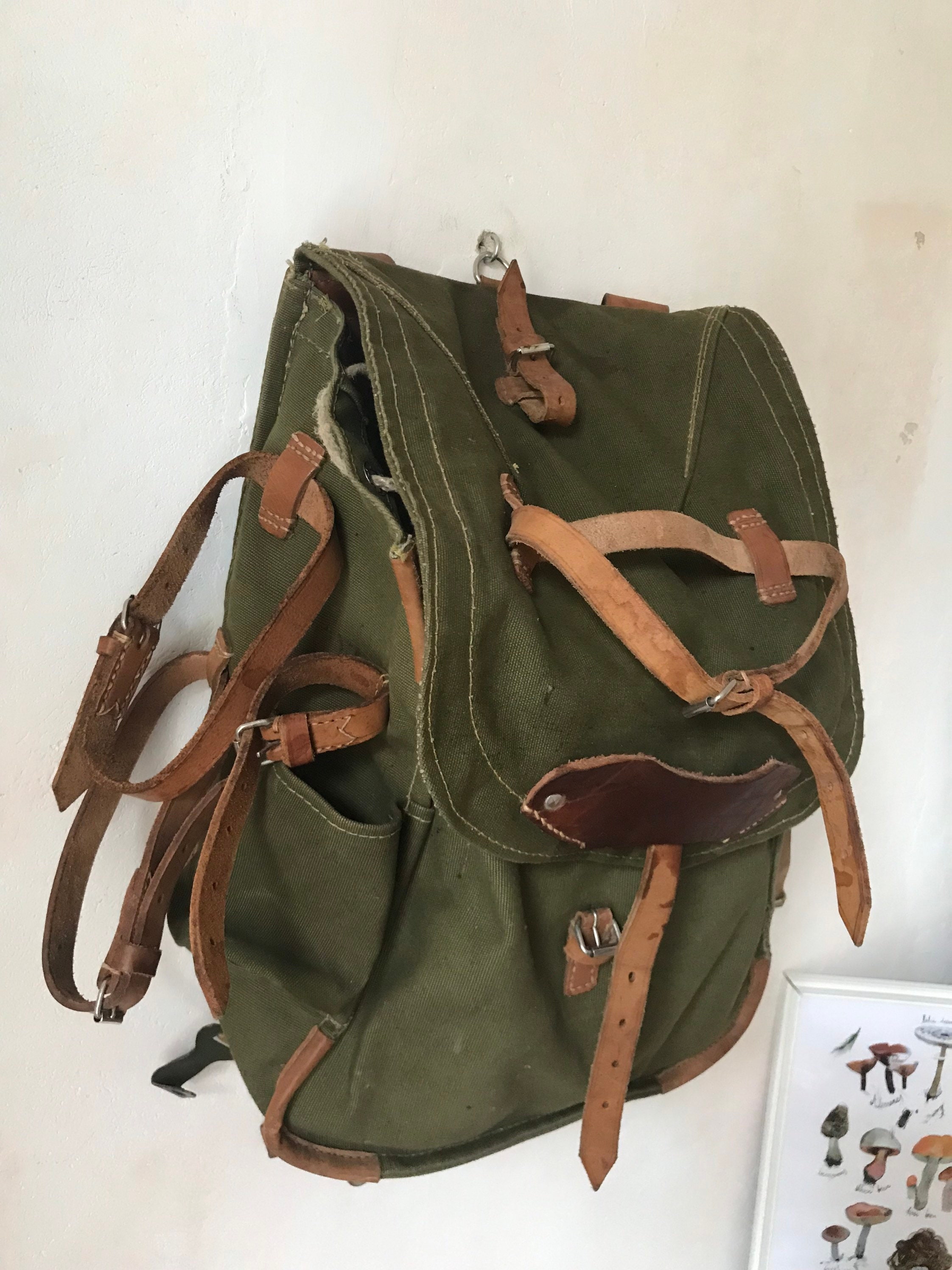 Swiss Surplus Backpack