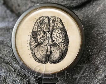 Human Brain Badge Reel - Brain Badge Holder - Nursing Badge Reel - Retractable Badge Holder - Anatomical Brain Badge Reel - Neurology Doctor