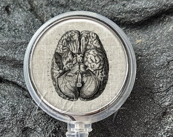 May include: A clear badge reel with a stainless steel bezel. The reel features a round, white button with a black and white anatomical brain illustration.
