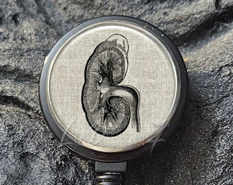 May include: Black badge reel with a silver bezel and a round, white, linen-textured insert featuring a black and white anatomical illustration of a kidney.
