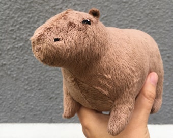 capybara teddy
