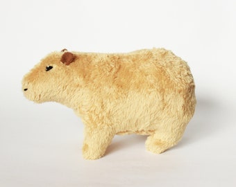 capybara teddy