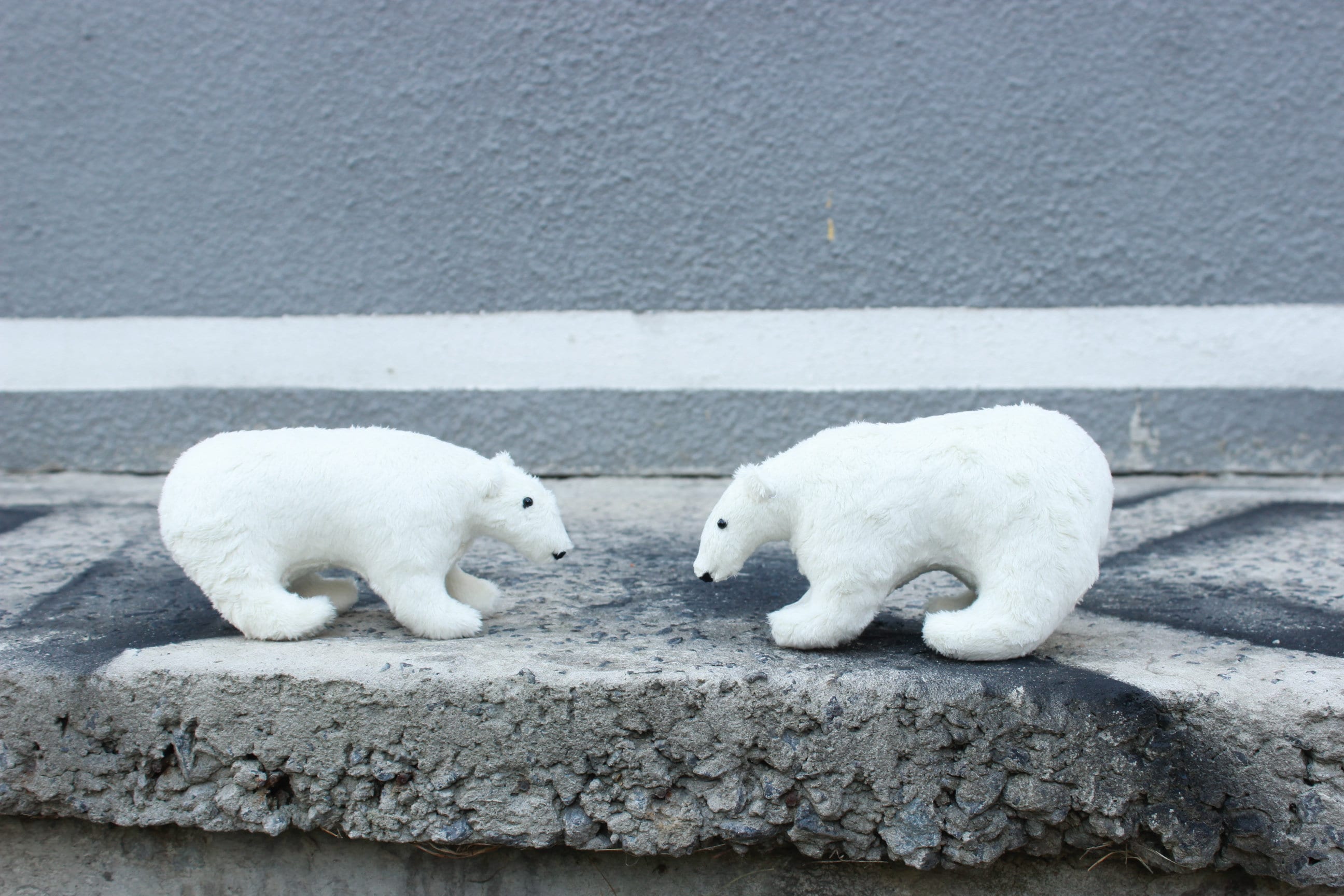 polar bear plushie
