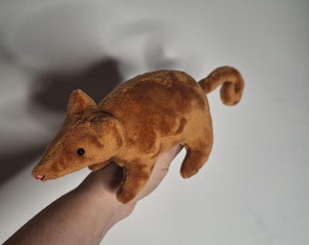 kinkajou