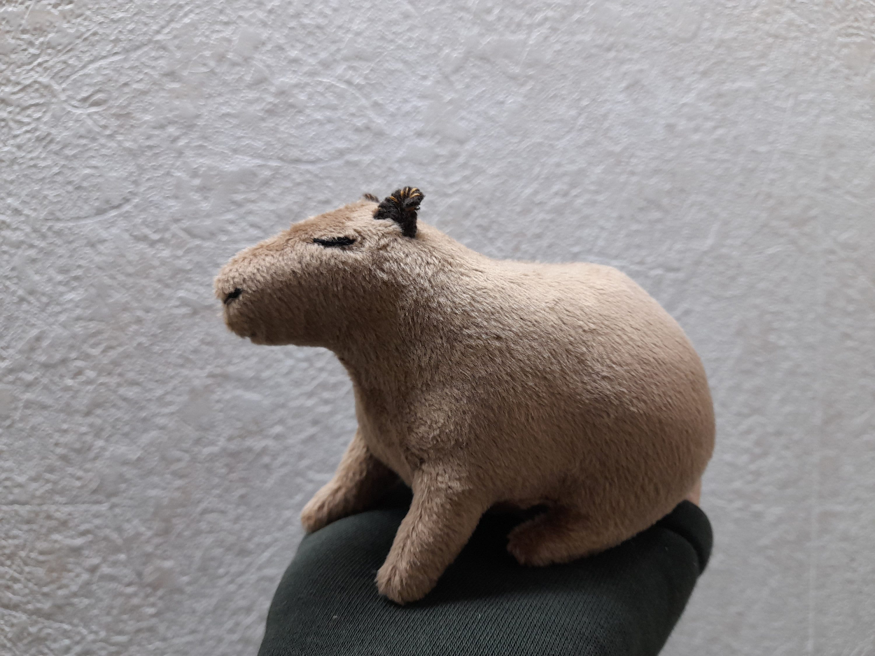 Capybara Plush Toy Stuffed Capybara Plushie Fluffy Etsy Canada