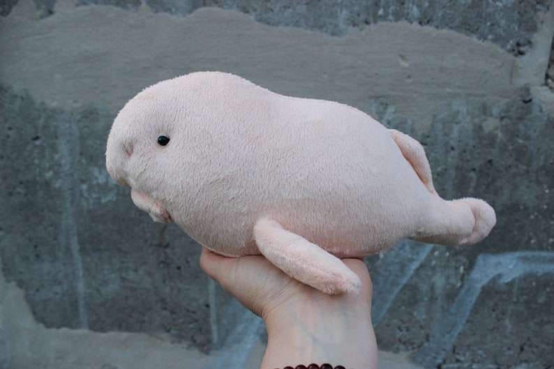 stuffed blob fish