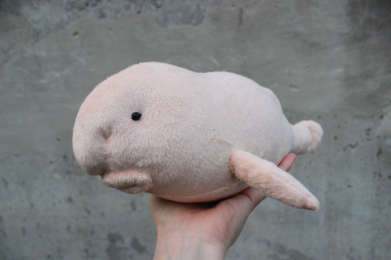 Blobfish Plushie Blobfish Stuffed Toy Blob Fish Plush | Etsy