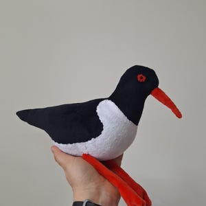 The Eurasian Oystercatcher Plushie Bird Stuffed Toy - made to order