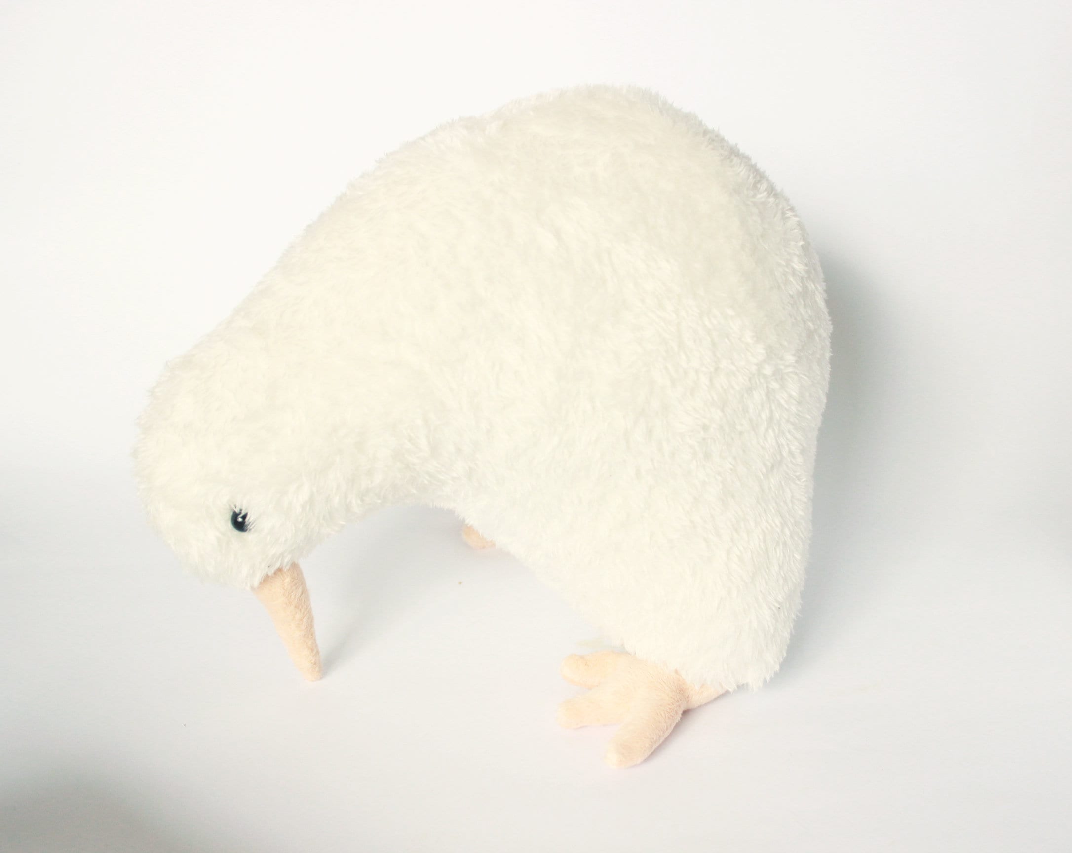 Albino Kiwi Bird soft toy kiwi plush kiwi bird stuffed Etsy