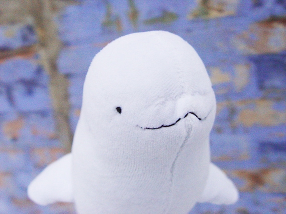 stuffed beluga whale