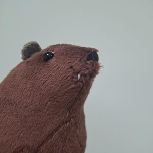 ロックハイラックス #14 - ロックアナグマ - ケープハイラックス - ダッシー - 1 個 - ぬいぐるみ - クリスマスギフトのアイデア