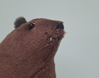 Rock Hyrax  #14 - rock badger - Cape hyrax - Dassie - 1 pc - soft toy plush animals - Christmas gift ideas