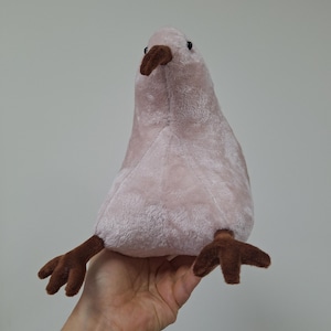 Kiwi Bird soft toy - kiwi plush - kiwi bird stuffed toy image 3