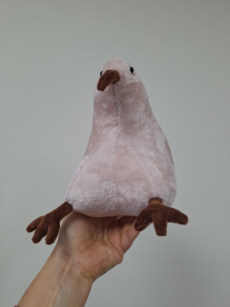 Kiwi Bird soft toy - kiwi plush - kiwi bird stuffed toy image 3