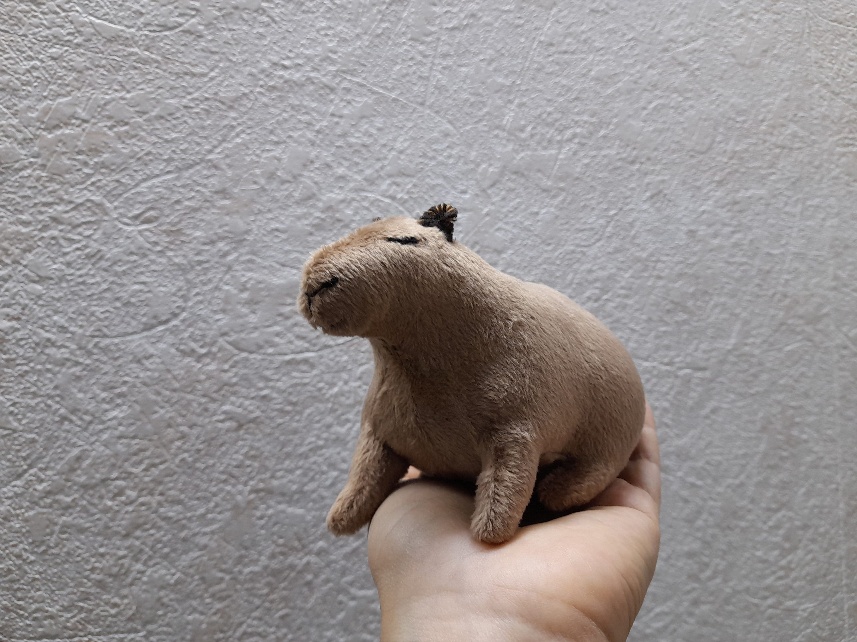 Capybara Plush Toy Stuffed Capybara Plushie Fluffy - Etsy Canada