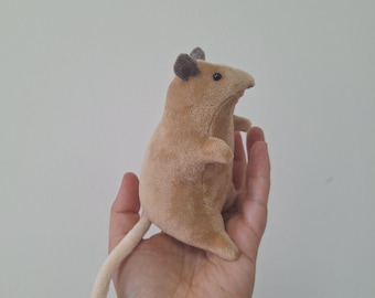 Bandicoot
