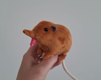 Short-eared Elephant shrew -  Round-eared Elephant Shrew