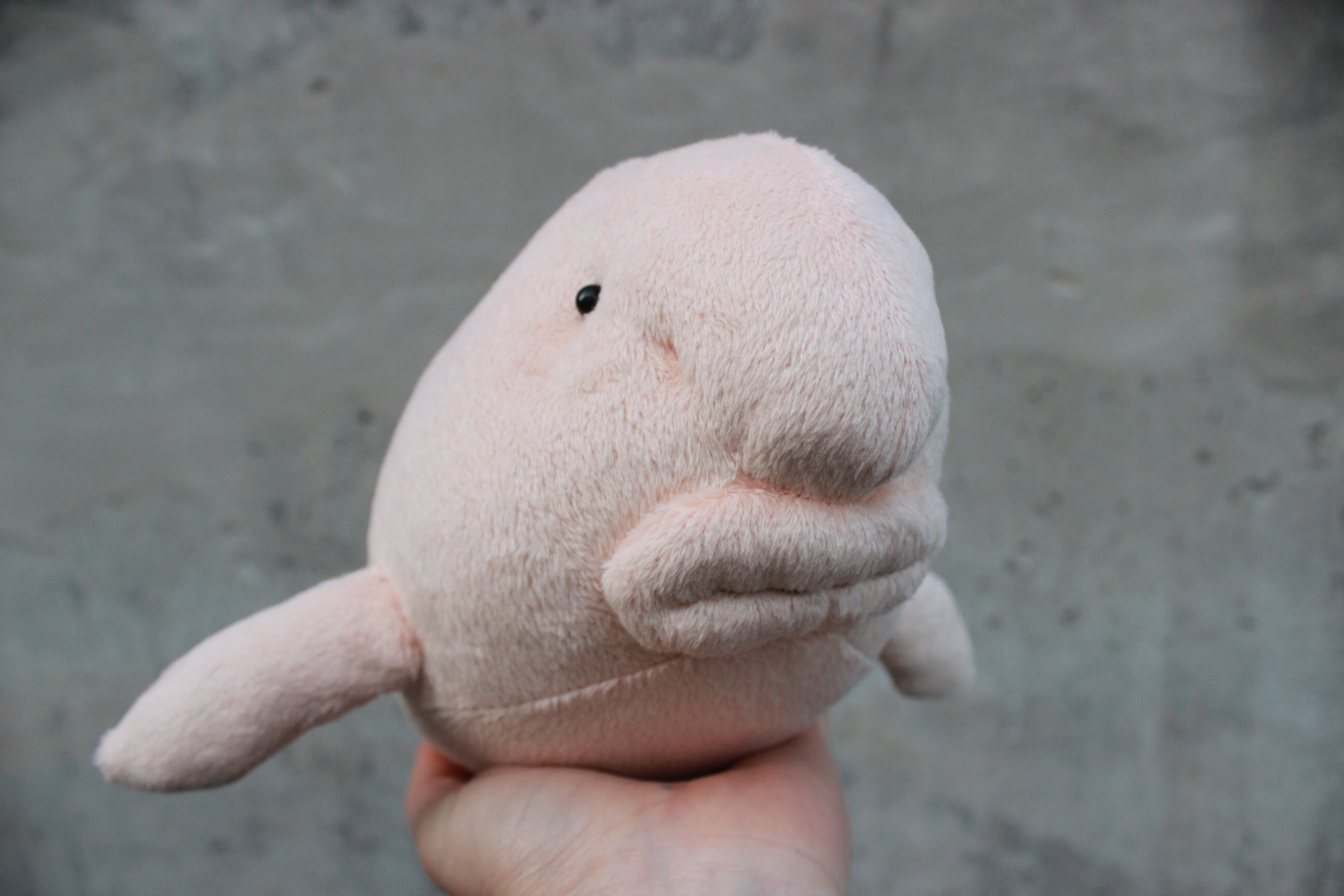 Blobfish Plushie Blobfish Stuffed Toy Blob Fish Plush | Etsy