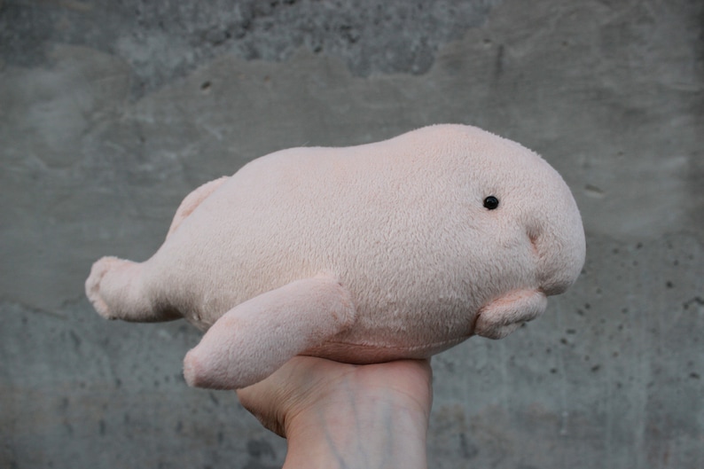 stuffed blob fish