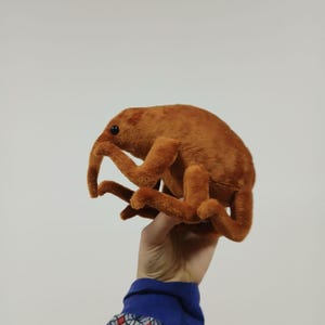 May include: A plush toy insect in shades of brown, featuring a long snout and multiple legs. The soft toy is held up against a plain white background. The insect has a rounded body and small black eyes.