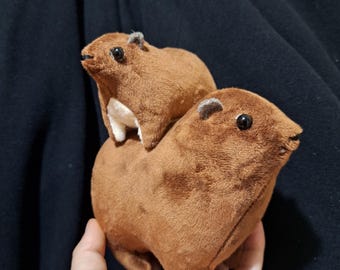 Rock Hyrax  #15 - family set - big vs little