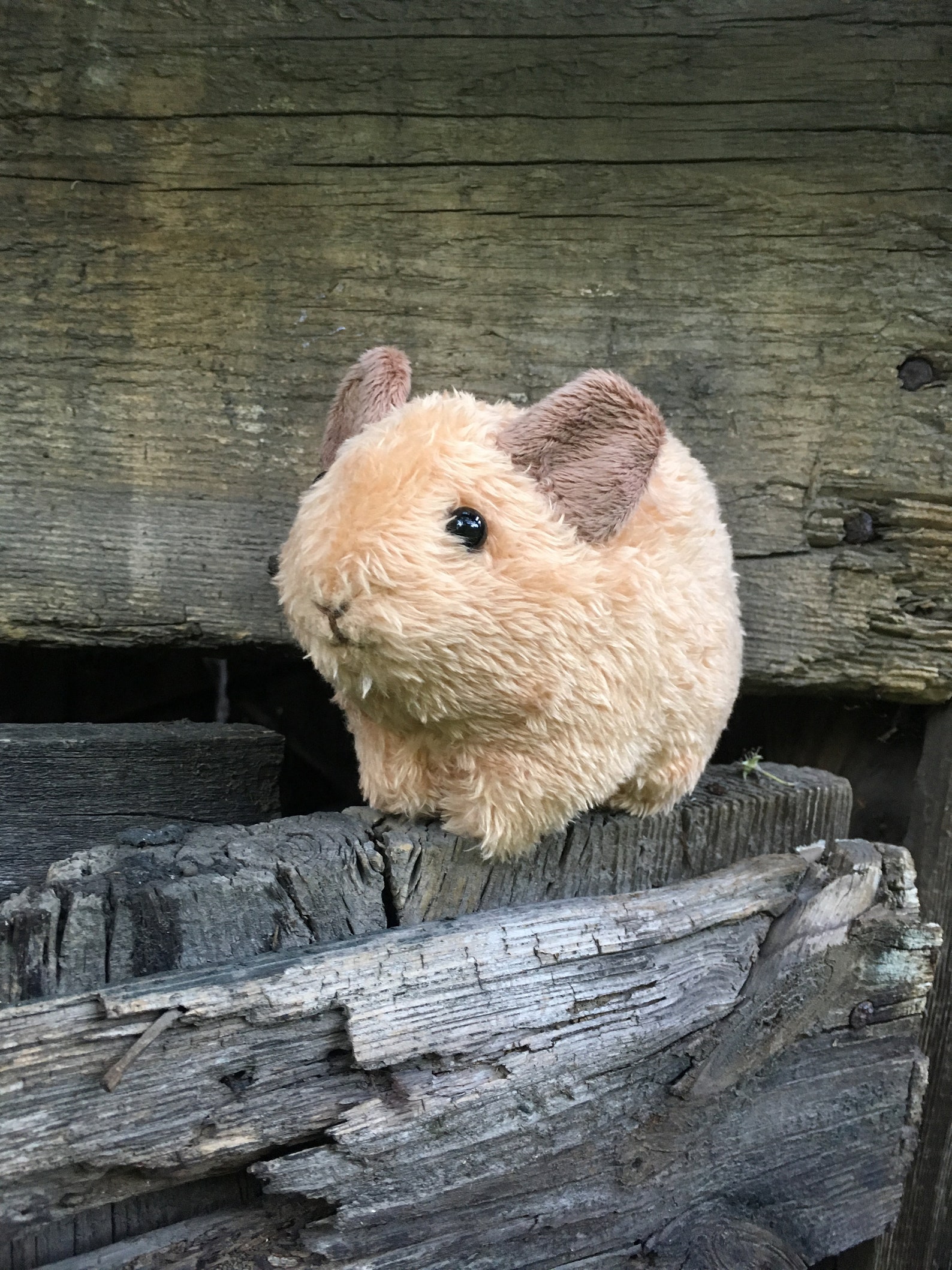 Pika Plushie Stuffed Toy Pika Unusual Stuffed Animals Etsy