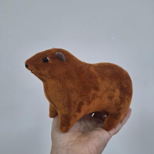 ロックハイラックス #6 - ロックアナグマ - ケープハイラックス