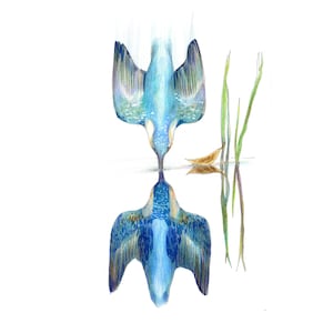 Printable Art Kingfisher Digital Download High Resolution Bird Kingfisher art by  Art Ukrainian Artist Wall Art Instant Download Fine Art