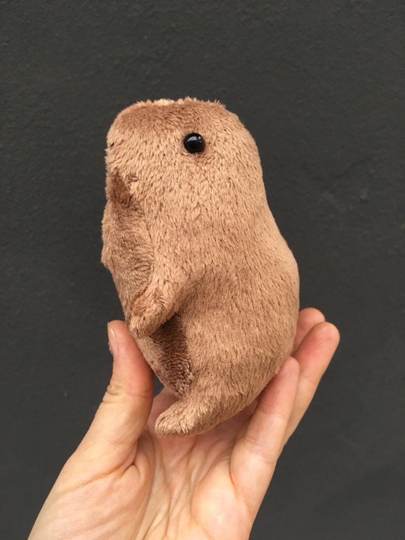 plush prairie dog