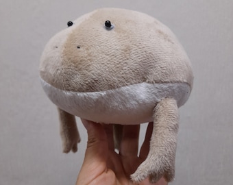 Budgett's Frog, Stuffed frog, frog soft toy