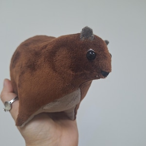 Puede incluir: Un peluche marrón con un cuerpo redondeado y ojos pequeños y oscuros. El juguete tiene una barriga marrón más clara y orejas pequeñas y grises. El juguete se sostiene en una mano sobre un fondo liso y claro.