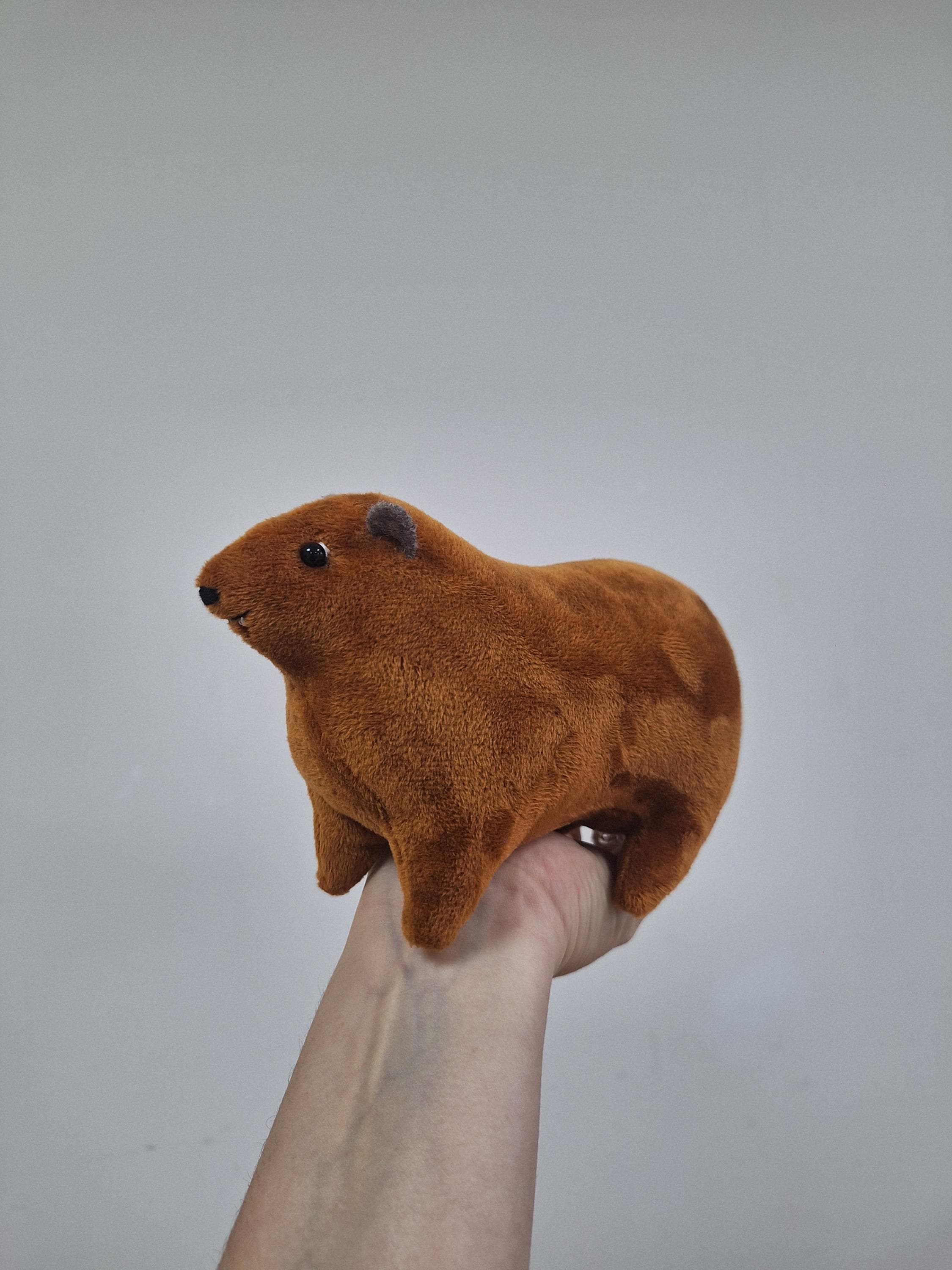 Rock Hyrax #1 - Rock Badger - Cape Hyrax - Dassie - 1 Pc - Soft Toy ...