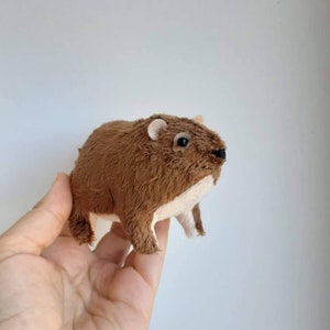 Rock Hyrax 11 - tasso delle rocce - Cape hyrax - Dassie - 1 pz - peluche animali di peluche - idee regalo di Natale