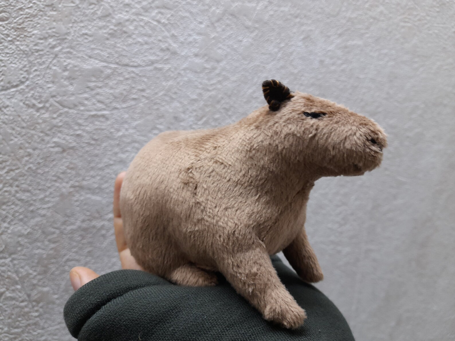 Capybara Plush Toyy Peluche de Capybara Fluffy Capybara Etsy México