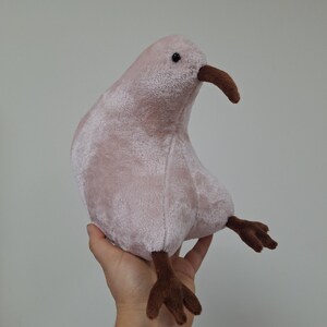 Kiwi Bird soft toy - kiwi plush - kiwi bird stuffed toy image 2