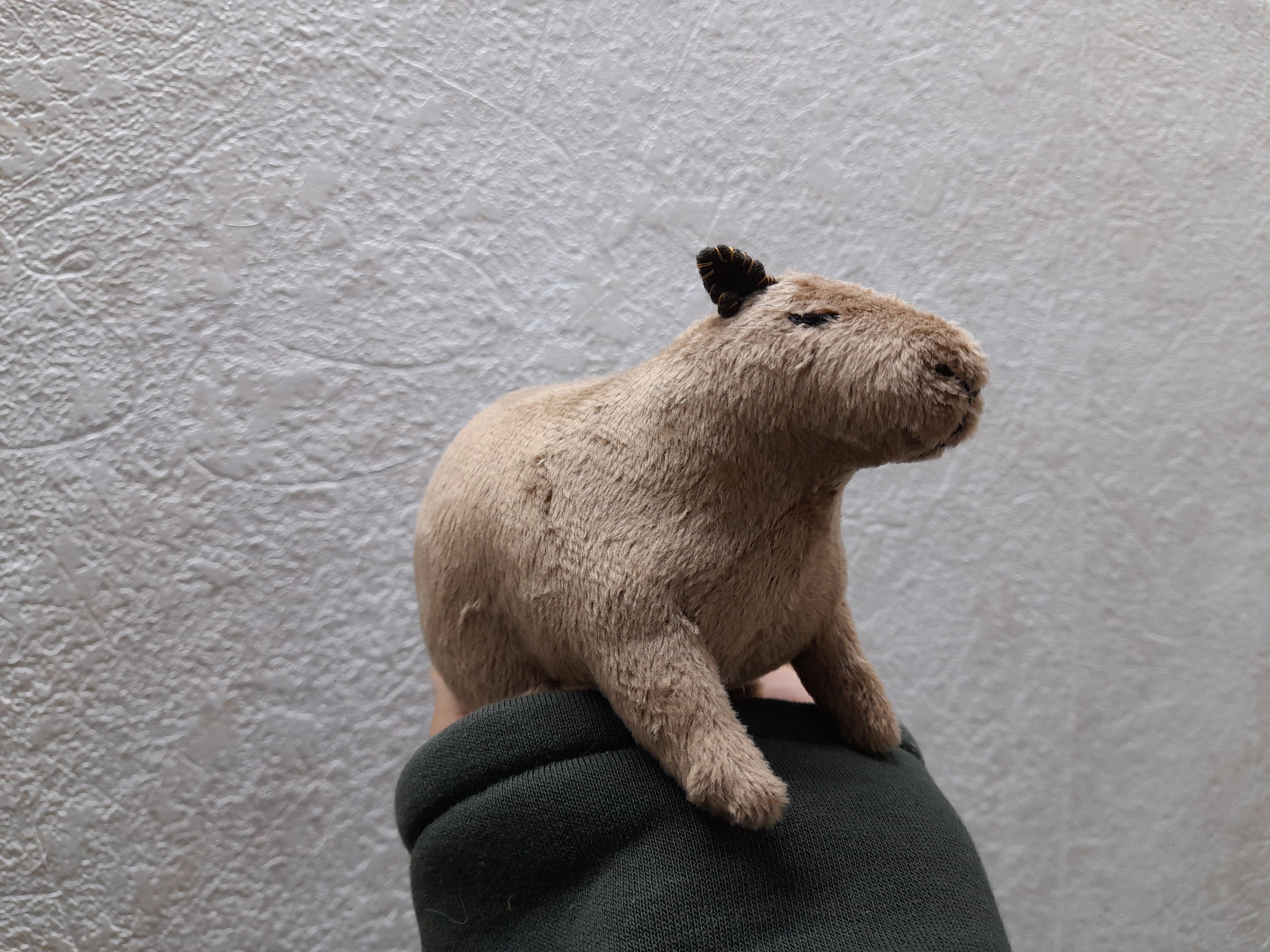 Capybara Plush Toy Stuffed Capybara Plushie Fluffy | Etsy Canada