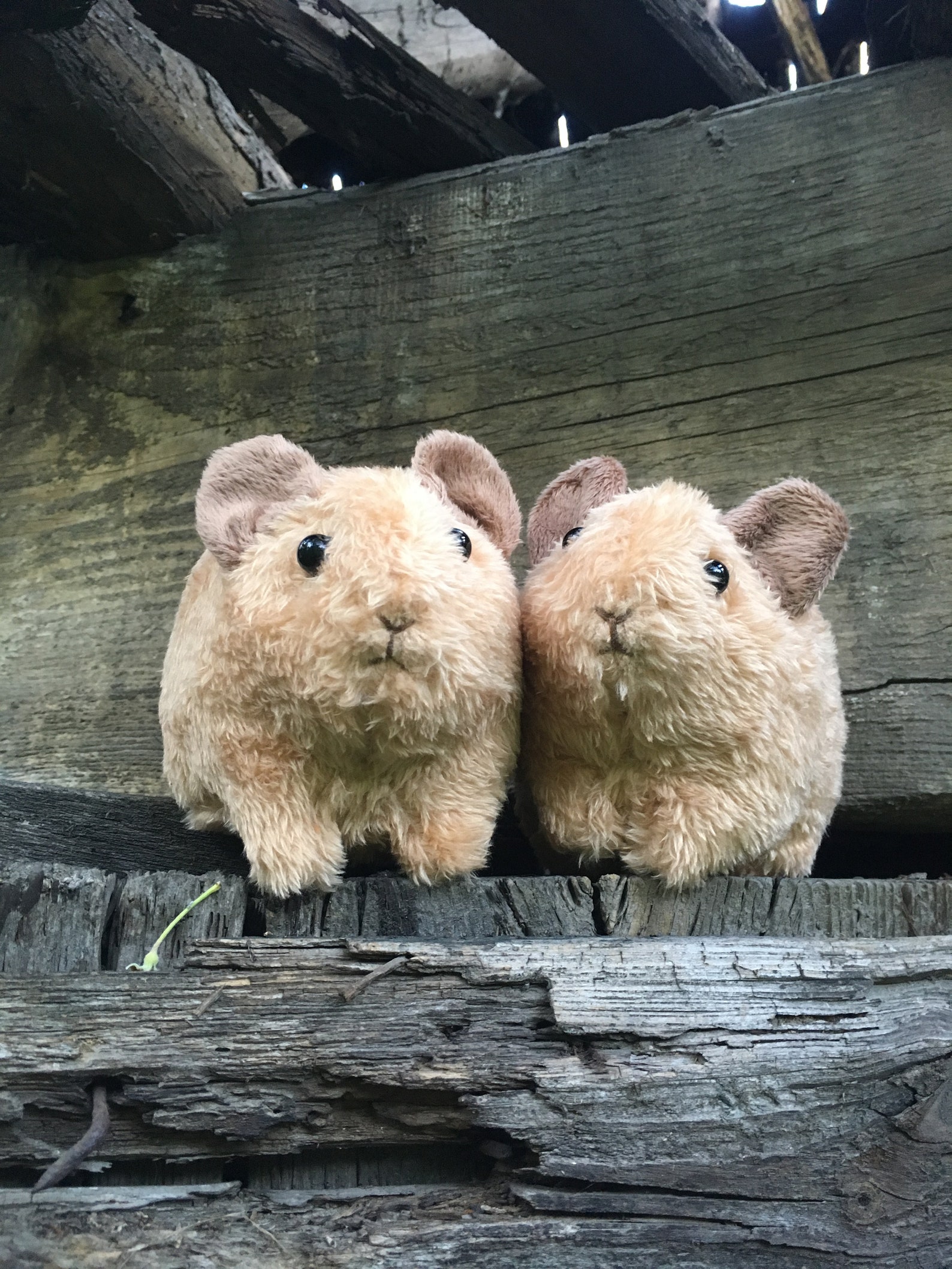 Pika Plushie Stuffed Toy Pika Unusual Stuffed Animals Etsy