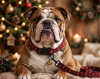 Christmas Pet Collar & Leash Set