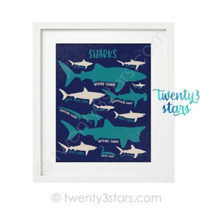 The image is a framed poster featuring various shark illustrations in different sizes and colors, including a whale shark, hammerhead shark, great white shark, and tiger shark, all set against a dark blue background.