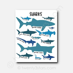 Shark Types Art Print: Customizable Colors, Kids Ocean Room Decor image 1