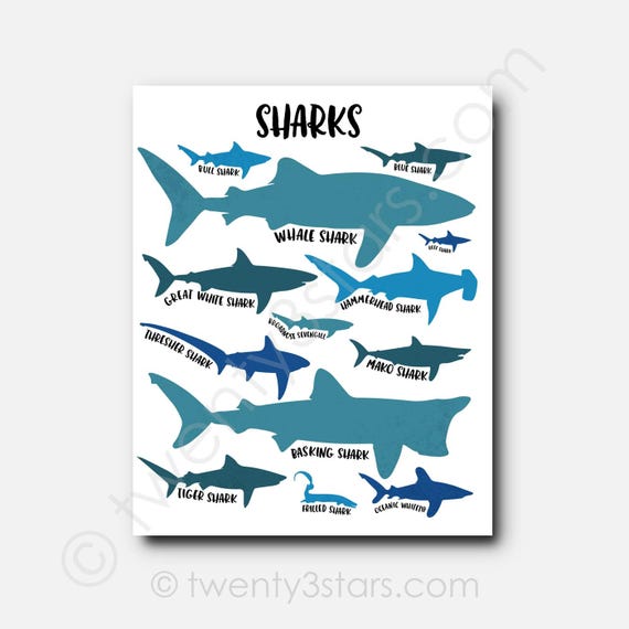 Shark Types Art Print: Customizable Colors, Kids Ocean Room Decor