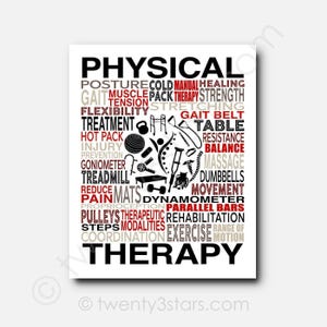 May include: A white poster featuring the words PHYSICAL THERAPY in large black text. The center contains black and red icons of medical equipment like crutches, a wheelchair, and a spine. Surrounding text includes words like gait, strength, and balance.