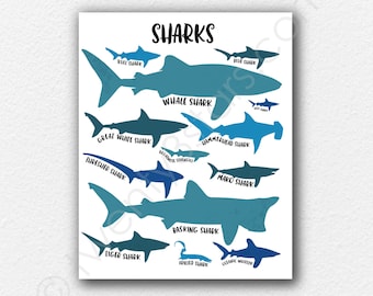 Sharks Poster, Kinds of Sharks Art, Shark Wall Art, Shark Gift, Shark Types Art, Shark Poster, Shark Lover Gift, Shark Room Poster Art