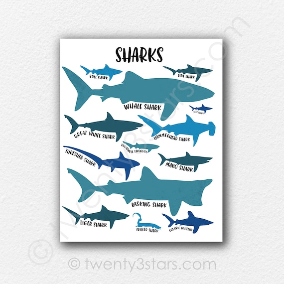 Shark Shirt For Girls Always Be A Shark Awareness Youth Gift Shark Shirt For Girls Always Be A Shark Awareness Youth Gift