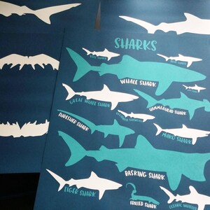 The image is a poster featuring various shark silhouettes and their names, including great white sharks, tiger sharks, and basking sharks, all depicted in a stylized manner.