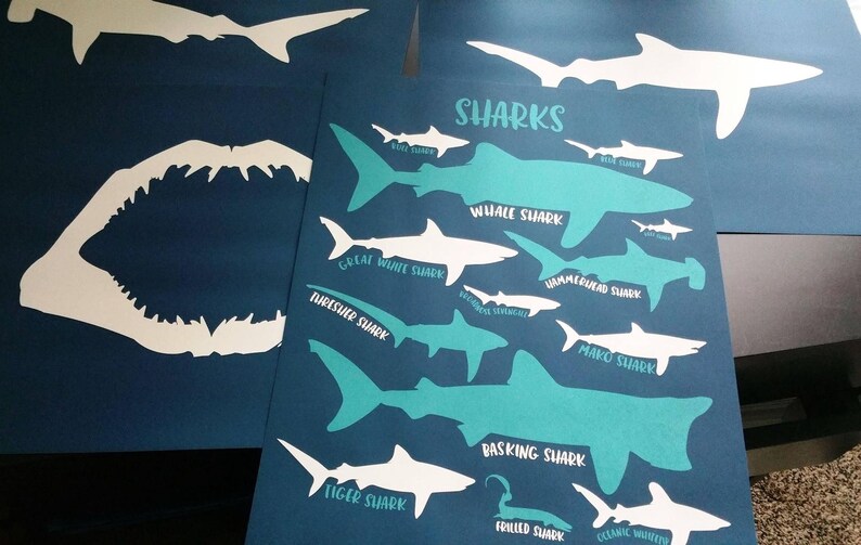 The image is a poster featuring various shark silhouettes and their names, including great white sharks, tiger sharks, and basking sharks, all depicted in a stylized manner.